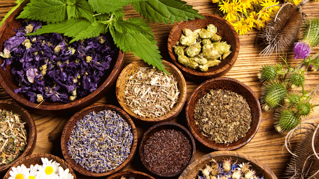 Tanaman Ini Ampuh Bisa Bikin Tidur Lebih Nyenyak!