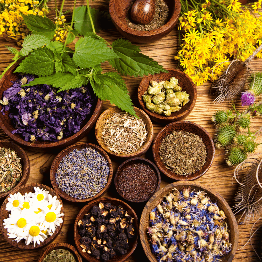 Tanaman Ini Ampuh Bisa Bikin Tidur Lebih Nyenyak!